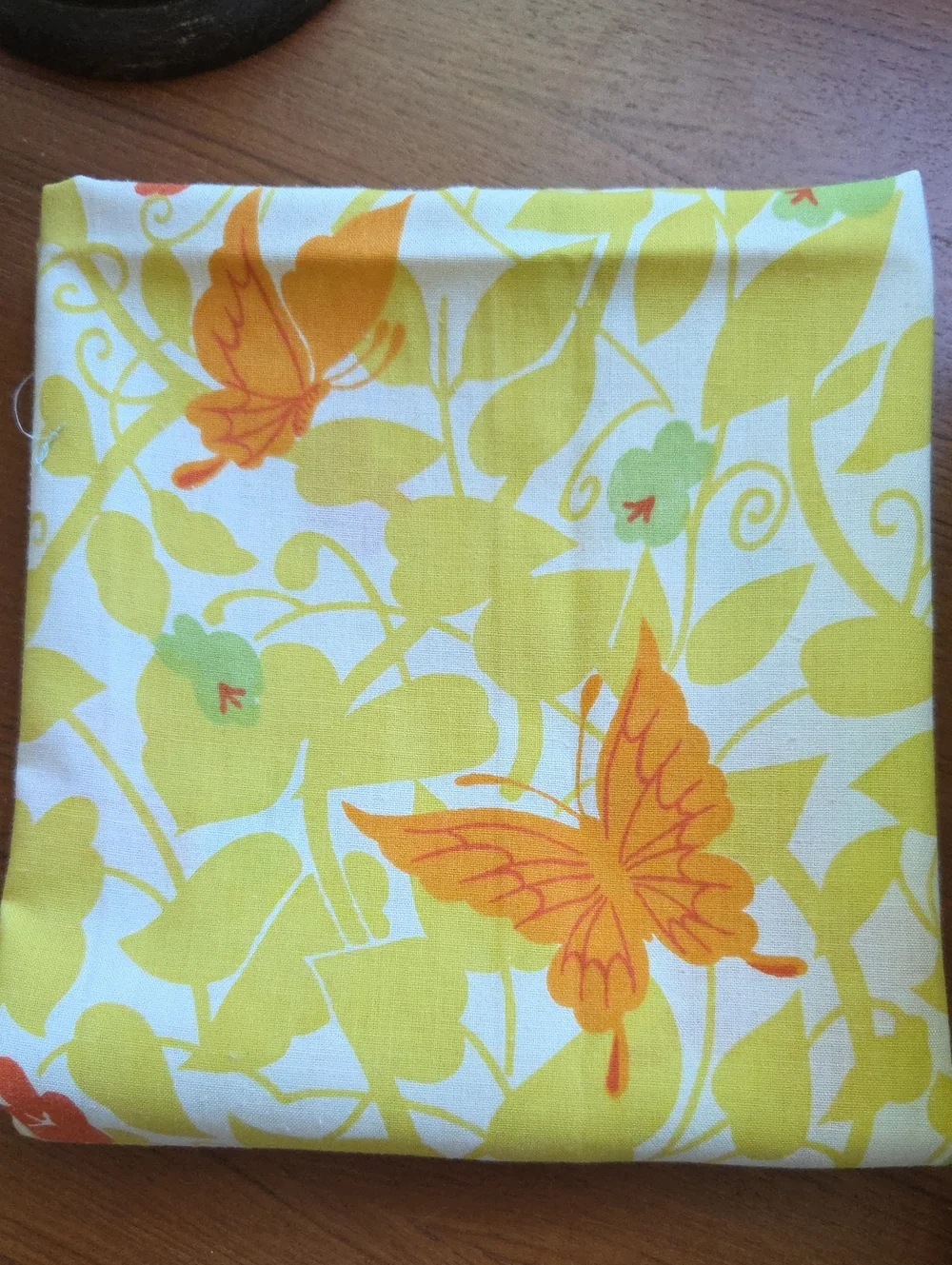 2pcs Vintage Morgan Jones Papillon Butterfly Standard Pillowcase,Flat Sheet